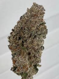 Detroit Seed Co. Strawberry Sherbcake 6pk Feminized + Freebies