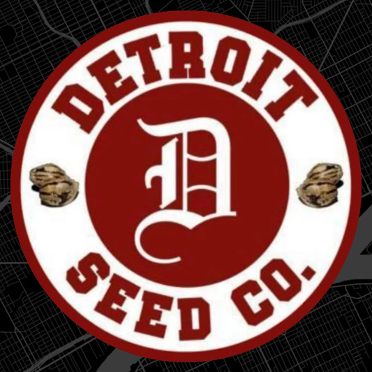 Detroit Seed Co. Brightmoor Berries Feminized 6pk + Freebies